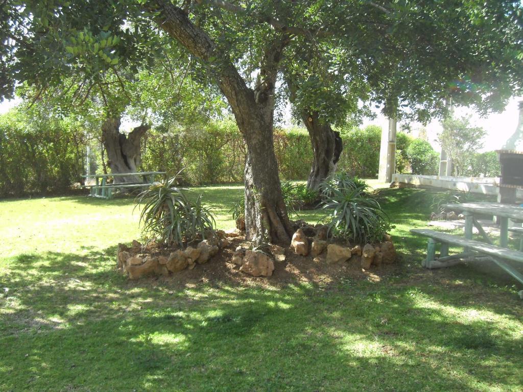 Tavira Garden Exterior foto
